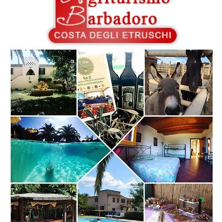 Agriturismo Barbadoro Сан-Винченцо Экстерьер фото