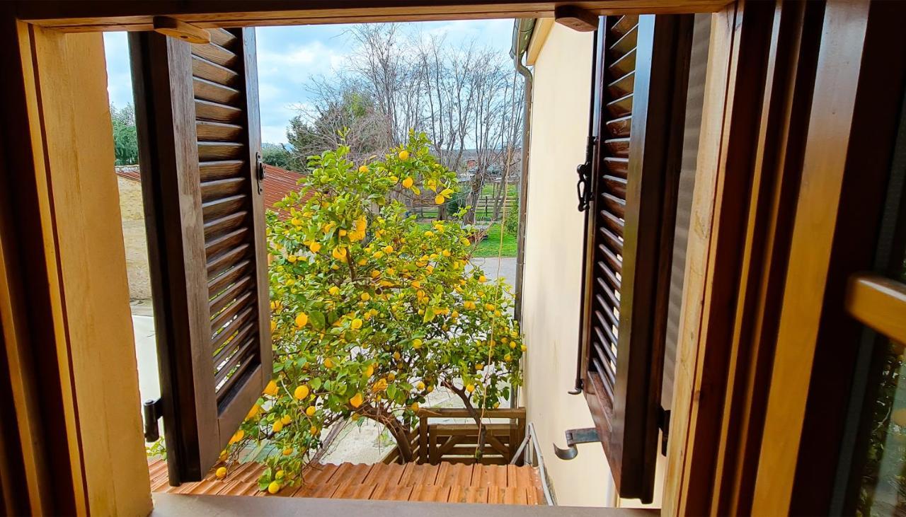 Agriturismo Barbadoro Сан-Винченцо Экстерьер фото