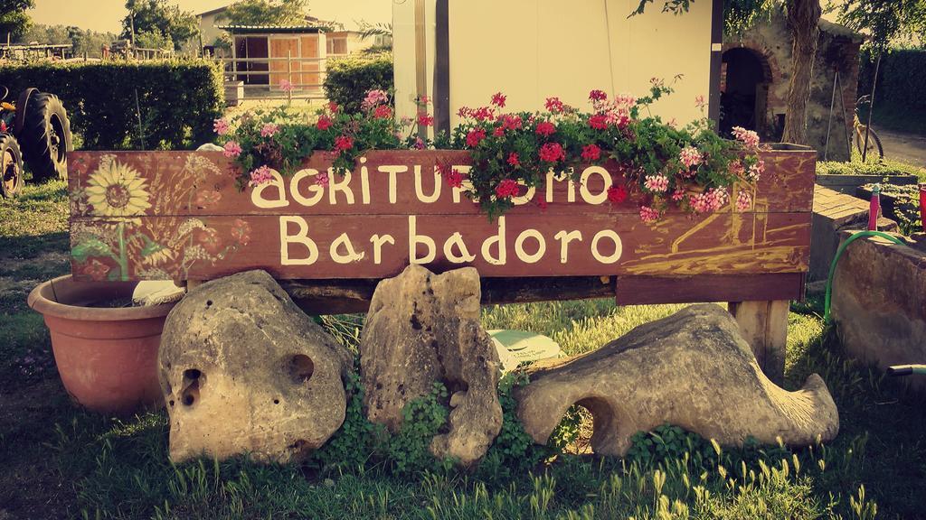 Agriturismo Barbadoro Сан-Винченцо Номер фото