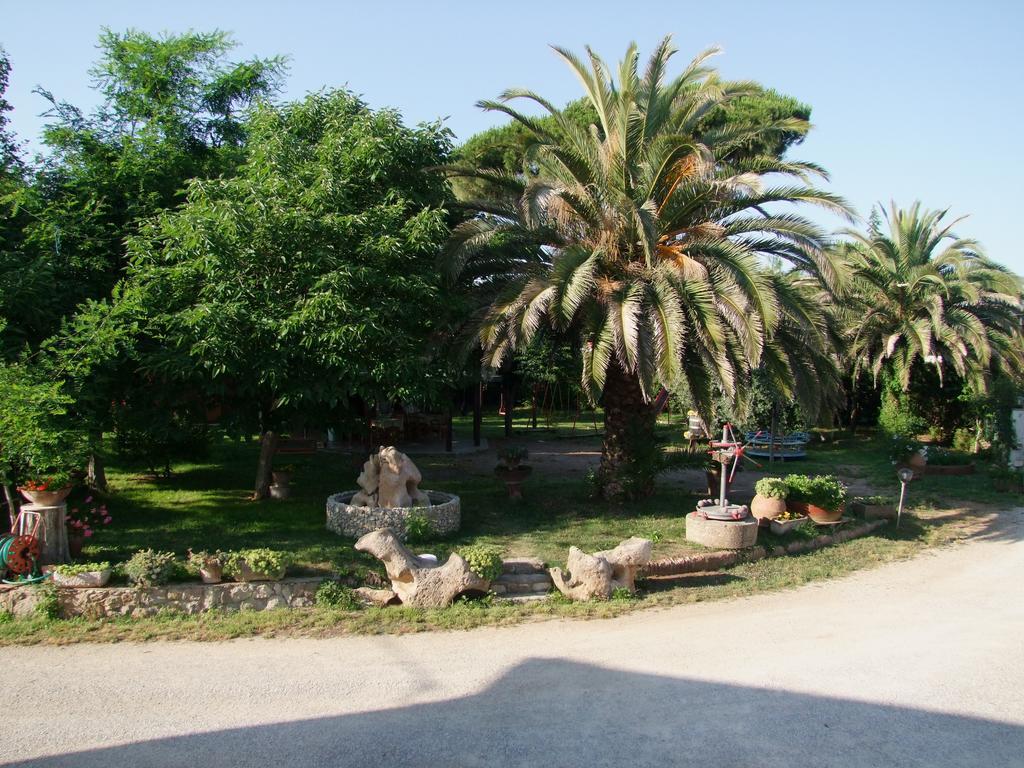 Agriturismo Barbadoro Сан-Винченцо Экстерьер фото