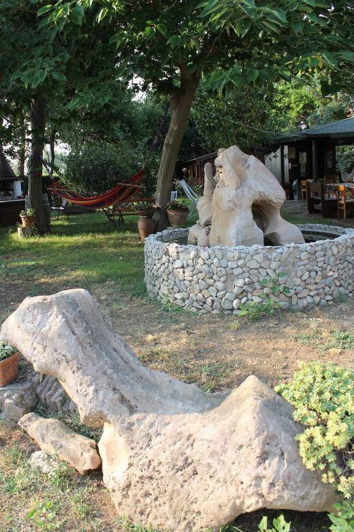 Agriturismo Barbadoro Сан-Винченцо Экстерьер фото